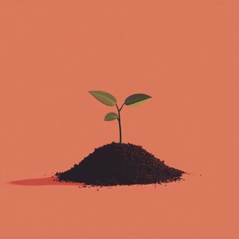种下一颗希望的种子:成长之路作文精选