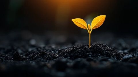 逆境的力量:名言警句教给我们的坚韧和智慧