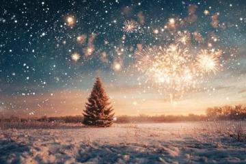 2017再见!这些话送给努力一整年的你