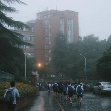 2009年,四川一考生高考作文字体无人能看懂,请来专家辨认后