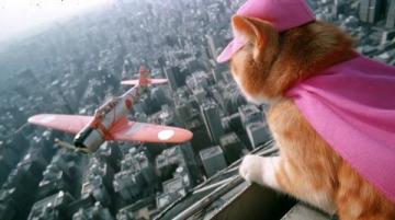 猫的天空之城里的经典话语