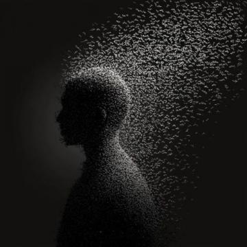 我最敬佩的人作文15篇