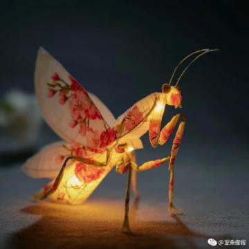 深入乡土寻找文化记忆:汪集山村的轭头塮舞龙灯