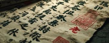 金庸最有智慧的句子(金庸先生最有智慧的句子)