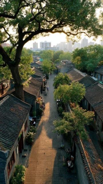 桐柏县清淮街道西关社区的隐秘小径:佛教学院旁的世外桃源