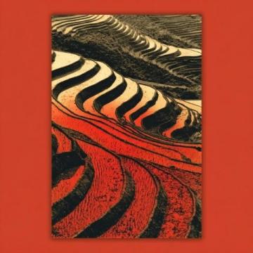 朱自清散文精选：绝美语句解读