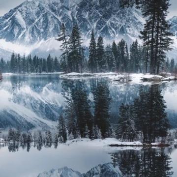 推荐瓦尔登湖(Walden)中经典的10个语录,附简要解读