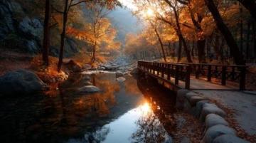 秋日里的花园美景