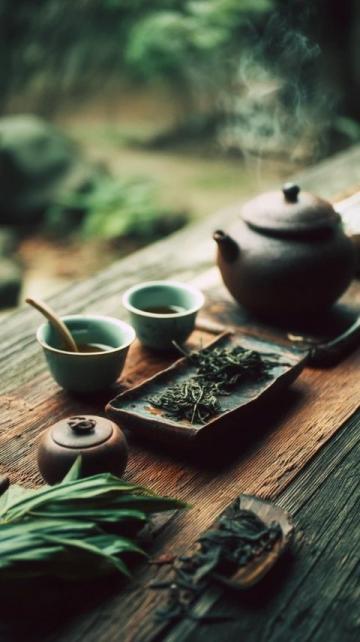 中国传统茶文化(中国茶文化作文)