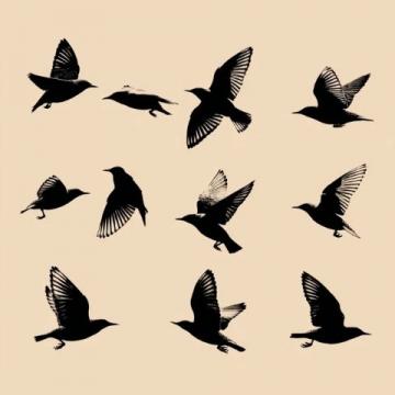 假如我是一只小鸟作文300字