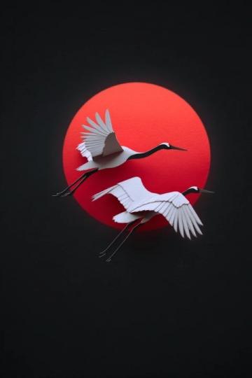 故乡冬韵里的白鹤情缘