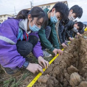 今天高考拉开帷幕,江苏历年作文题刷屏朋友圈!从1980年达·芬奇画蛋的坚持