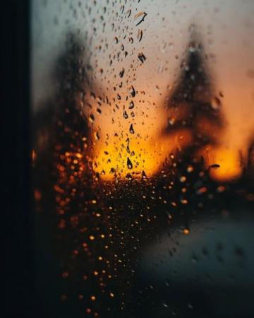 风雨过后的感悟600字