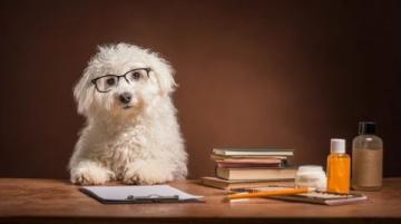 深度解析:PETS一级笔试试句巧妙转换技巧