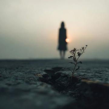 在挫折中成长:心灵蜕变的智慧之路