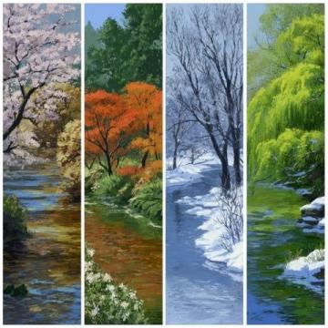 
探索家乡之美：四季画卷中的温馨记忆