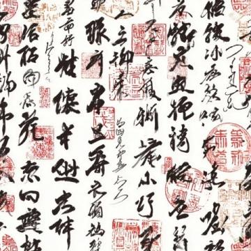 罗翔老师的经典语录大全
