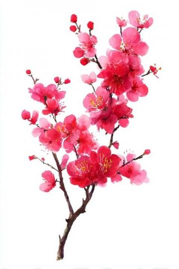 七律·桃花依旧笑春风(桃花依旧笑春风经典语句)