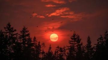 夕阳西下,天边被染成一片红色(窗外的夕阳作文)