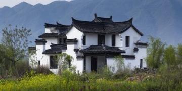 探索杨湾村：美丽家园的意外发现与宁静生活