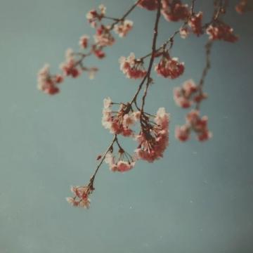 春天里,温柔的你