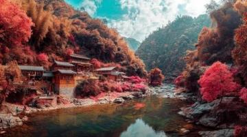 广东秋天的韵味作文