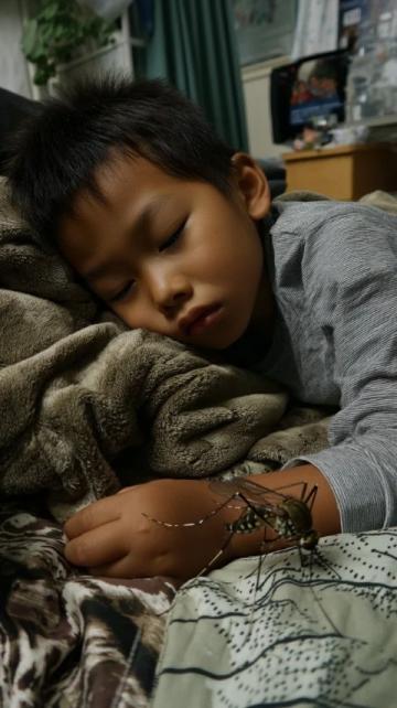 十岁男孩的勇气：在生死抉择中守护妹妹生命的重量
