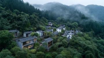 探索杨湾村：美丽家园的意外发现与宁静生活