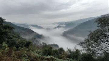 广东秋天的韵味作文