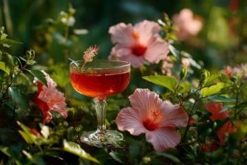 人生如酒如花如茶(人生如茶的经典语录)