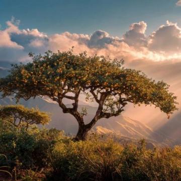 人生处处皆风景:珍惜当下,拥抱变化