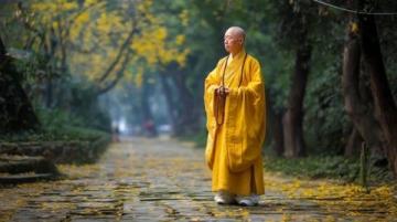 交易求而不得：佛家经典智慧与交易心态