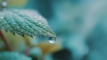 生活中的每一滴雨都将成为你的泪中流出的光明