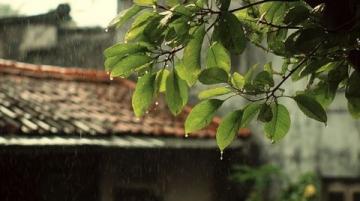 记忆中的那场雨storm