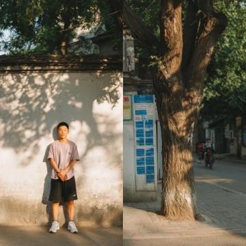 山东潍坊高新区一位七年级学生写一篇的名为顾稚子,勿忽长的文言作文,吾有一言