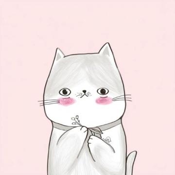 我家萌宠猫咪——露露的故事