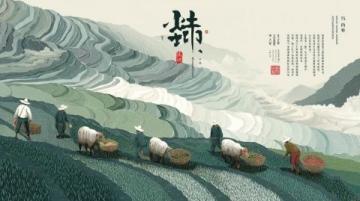 三访江村:经典语录集锦