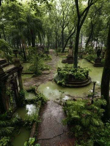 夏日雨后的宁静