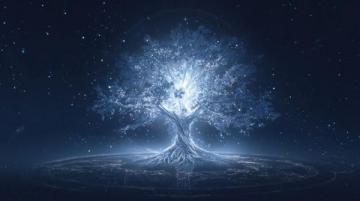 积累正能量句子:记录你的心灵成长故事