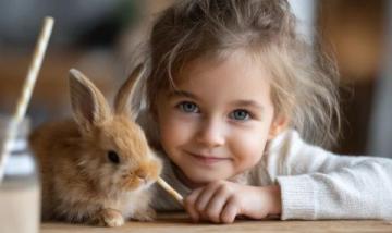 孩子们的选择:养猫、养狗还是养兔子?