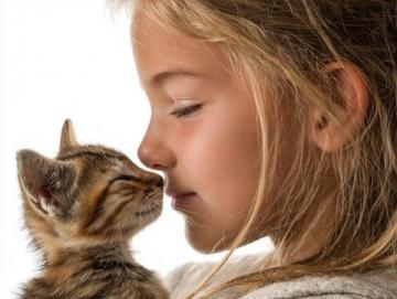 孩子们的选择:养猫、养狗还是养兔子?