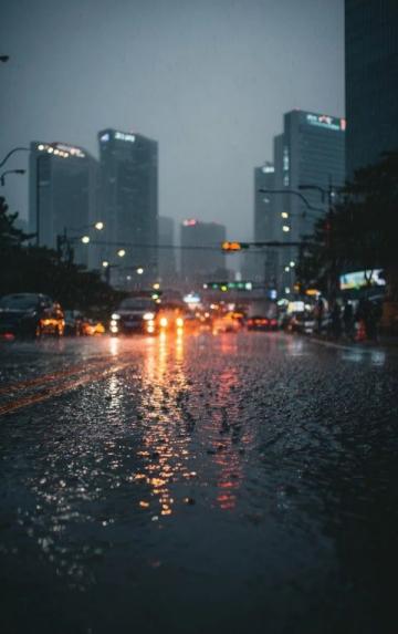 沉重的大雨像一件黑色的披肩般笼罩着城市
