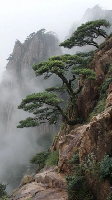 外国友人在泰山之巅流下的泪水：一次心灵之旅的感动瞬间