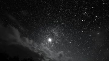经典语录:生活在阴沟里也要仰望星空的权利