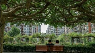 我心中的风景:青岛市民美德与城市文明