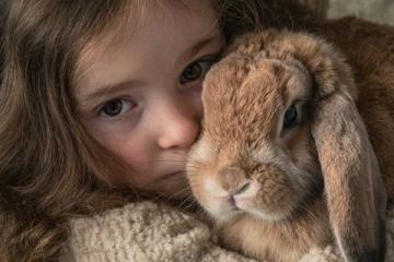 孩子们的选择:养猫、养狗还是养兔子?