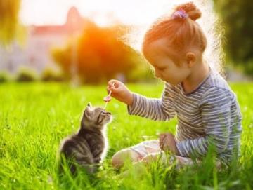孩子们的选择:养猫、养狗还是养兔子?