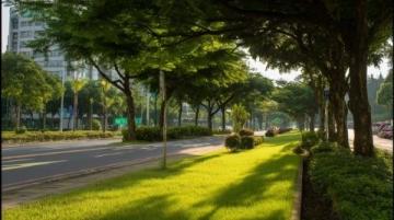 我心中的风景:青岛市民美德与城市文明