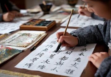 小学生必备:丰富多彩的语文习作素材集锦