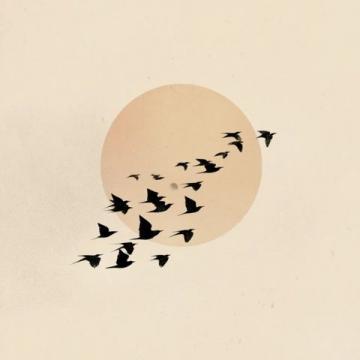 泰戈尔飞鸟集摘抄:诗意描绘生命与自然之美
